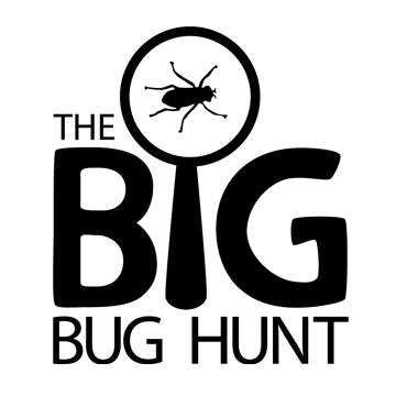 These hardy minibeasts can be found sheltering under rocks in the ...