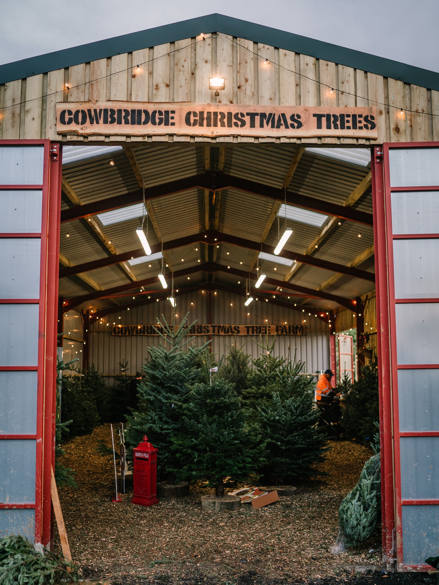 Cowbridge Christmas Tree Farm | Welsh Saint Donats