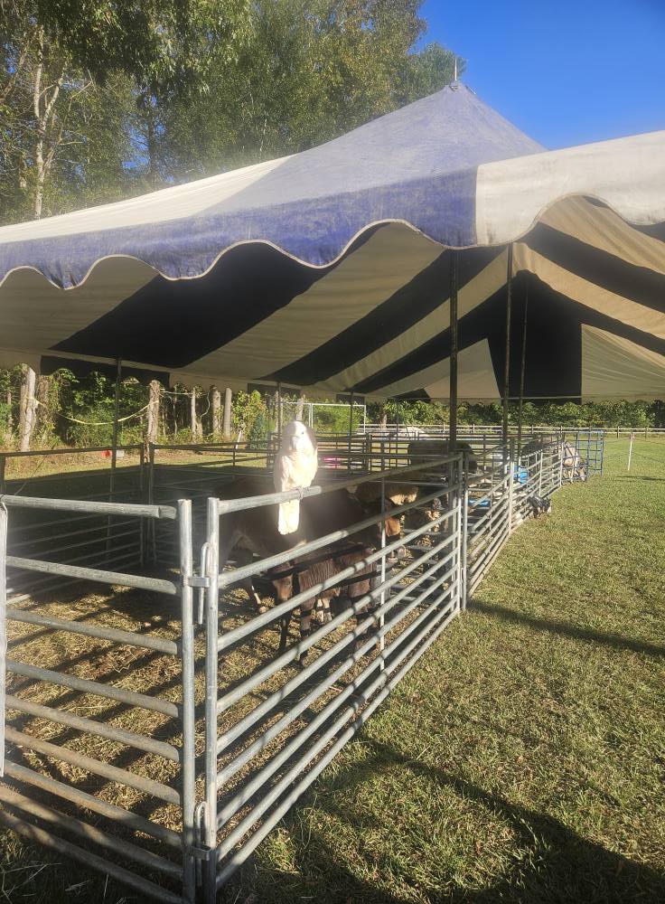 Big M Ranch - Big M Ranch added a new photo.