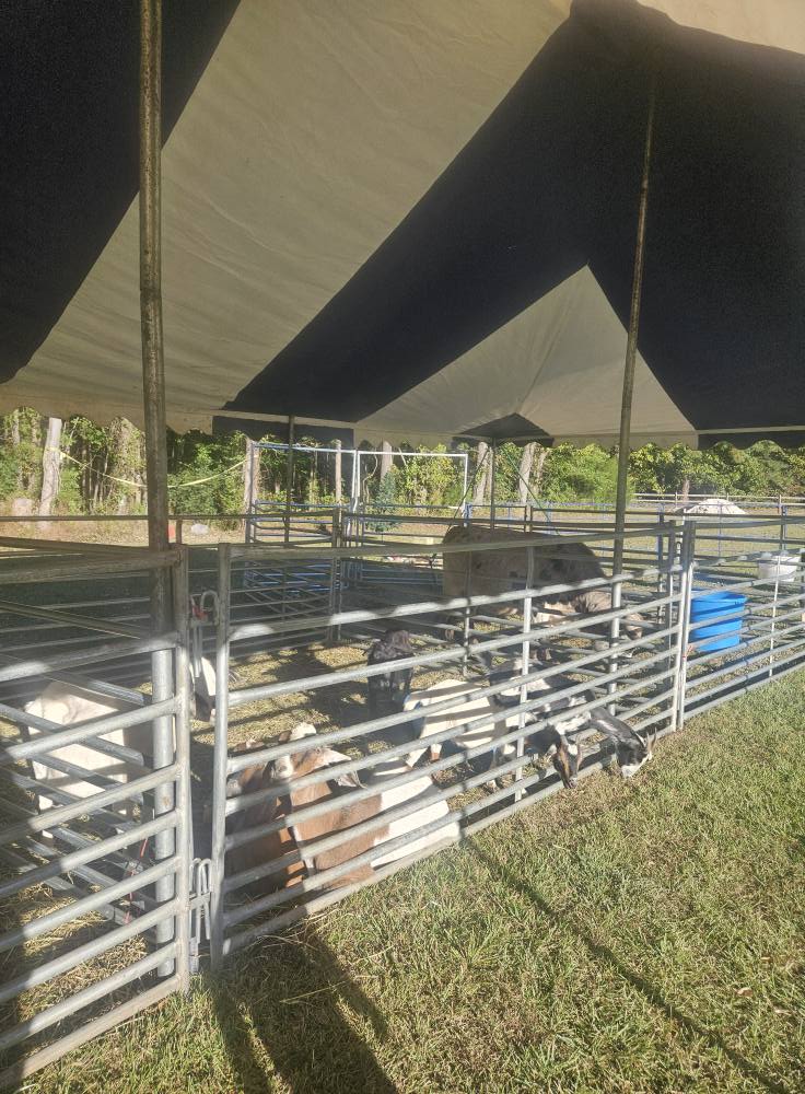 Big M Ranch - Big M Ranch added a new photo.