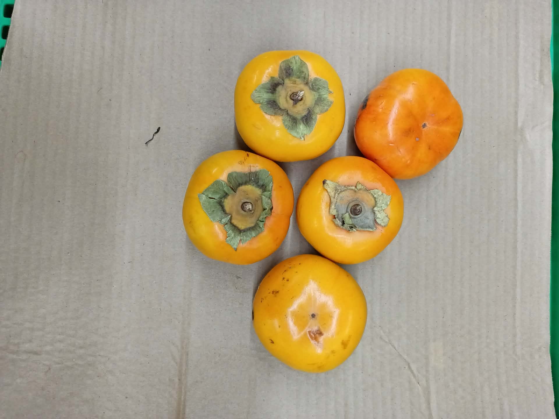 Filipinos in USA (FilUSA™) | Yan ang persimmon sa tagalog tinatawag din ...