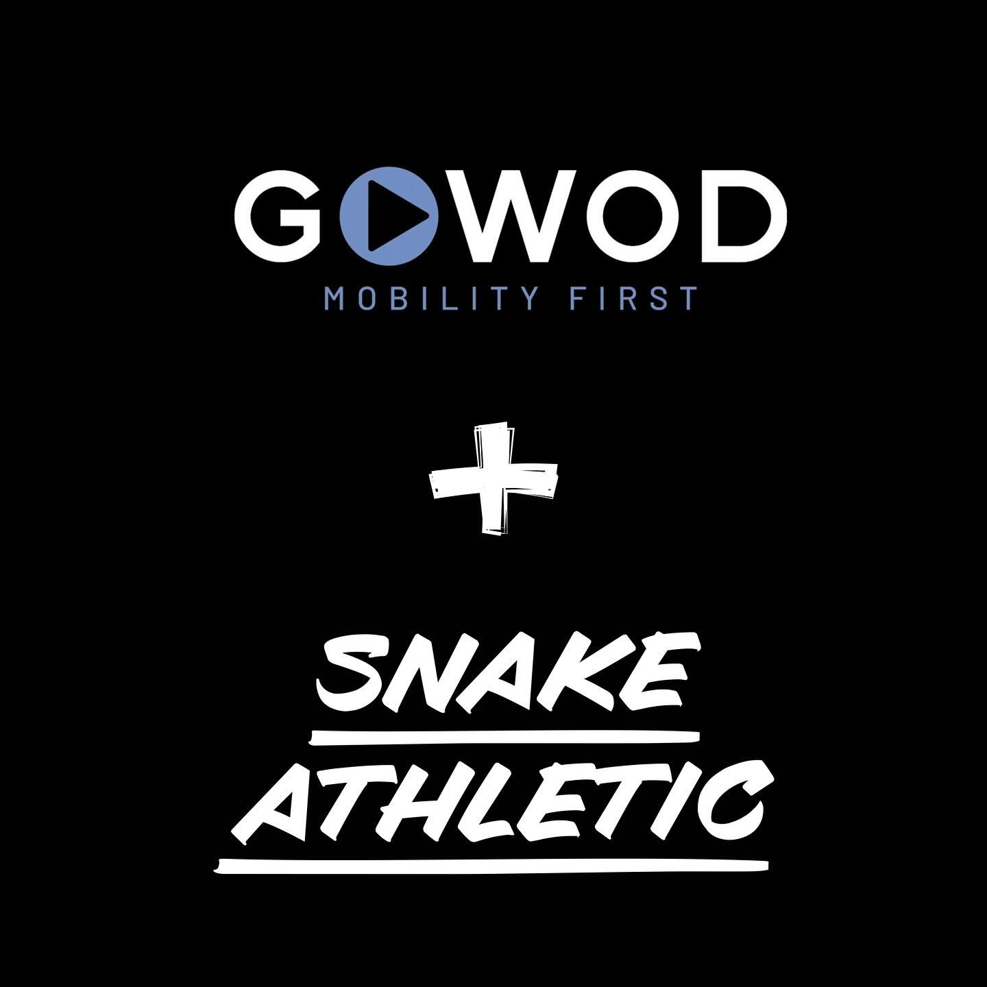 Snake - Stay Healthy. Keep Mobile. Stretch At Home. 🧘🏼 Training healthy ...