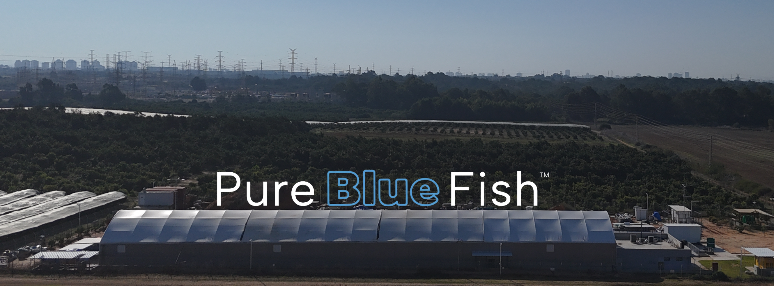 Pure Blue Fish | Binyamina