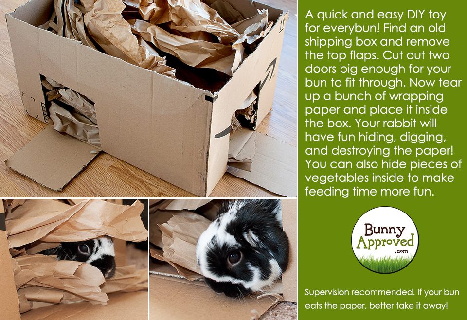 An indoor bunny digging box option - Rabbit Care information