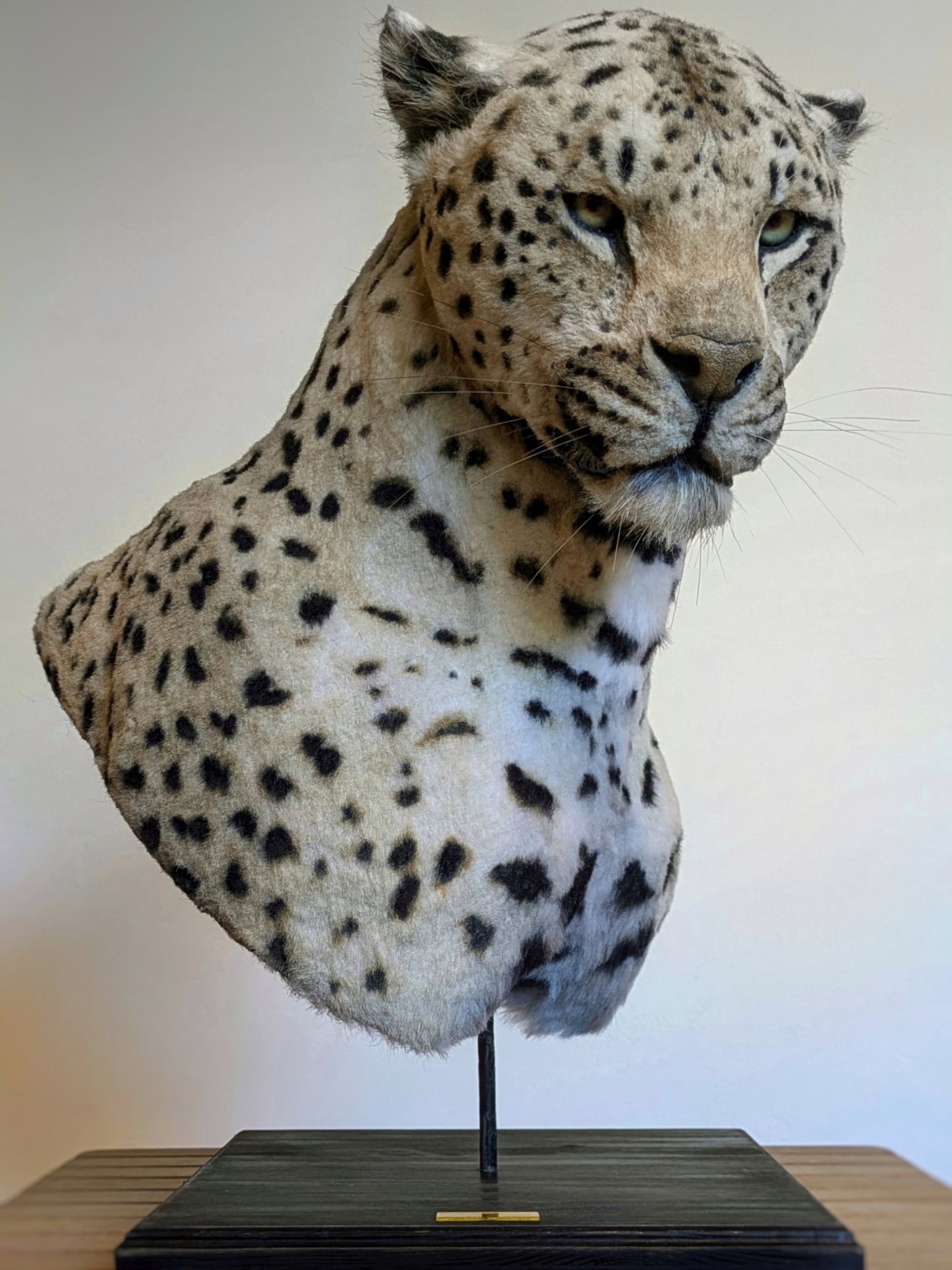 Animal - 🐆 We’re proud to share that our handmade leopard on pedestal ...