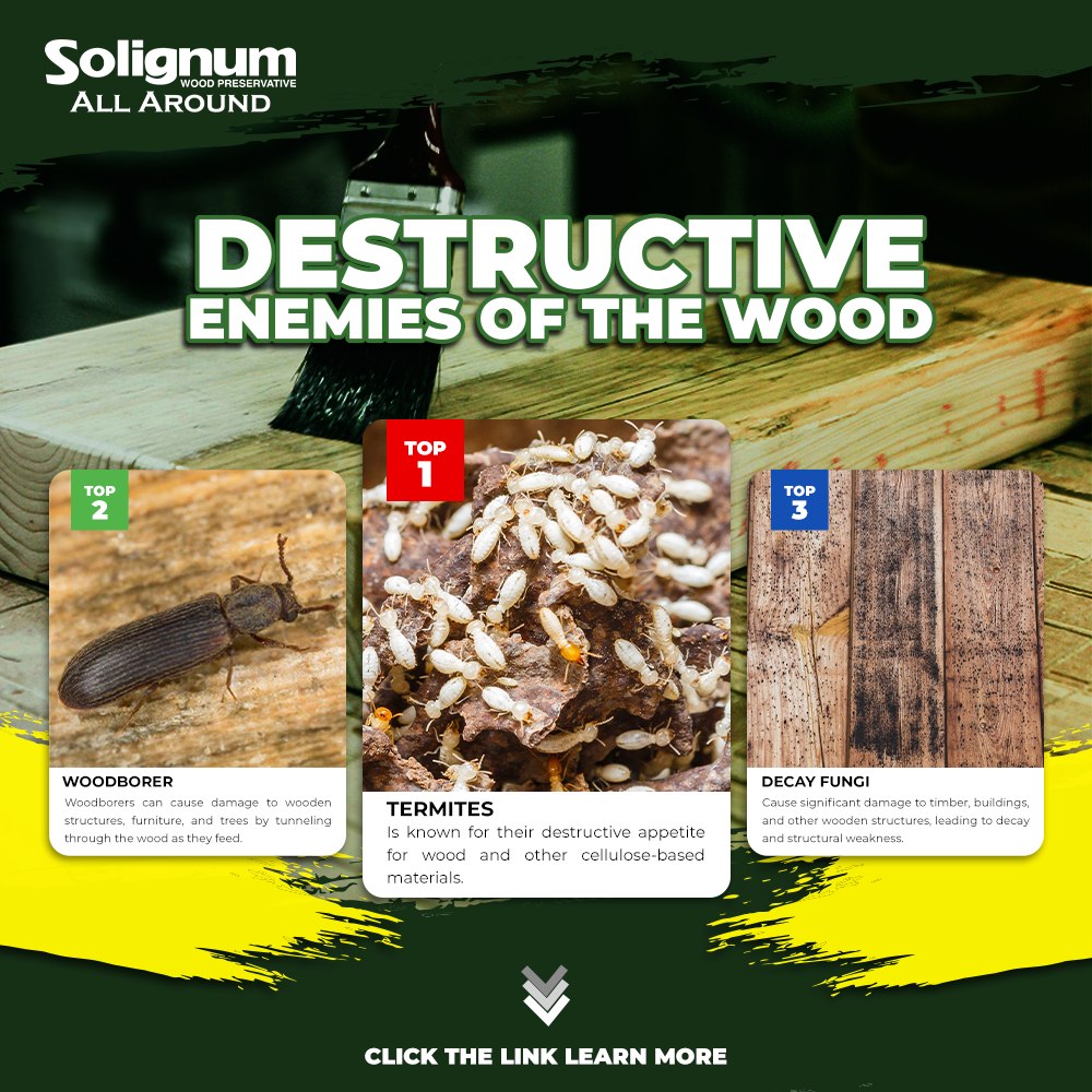 Jardine - Partners, did you know the destructive enemies of the wood ...
