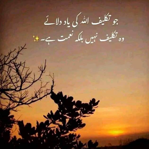 Malik Said Rasool Awan
