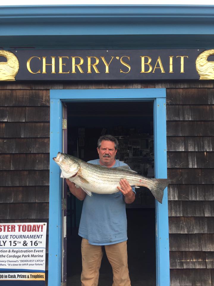 Fishing Store Plymouth Ma v9306.1blu.de