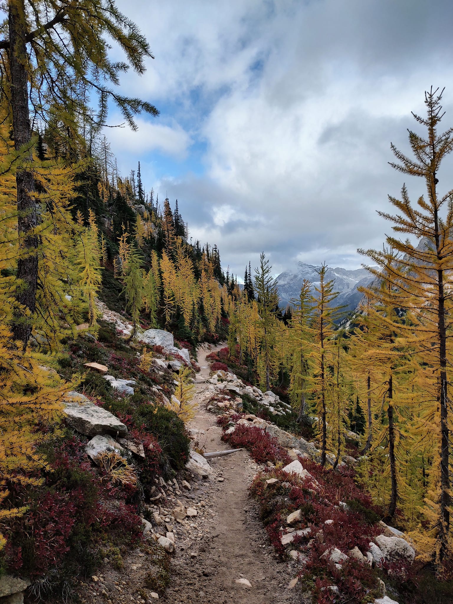 We are so excited - and maybe a... - Walla Trails & Community