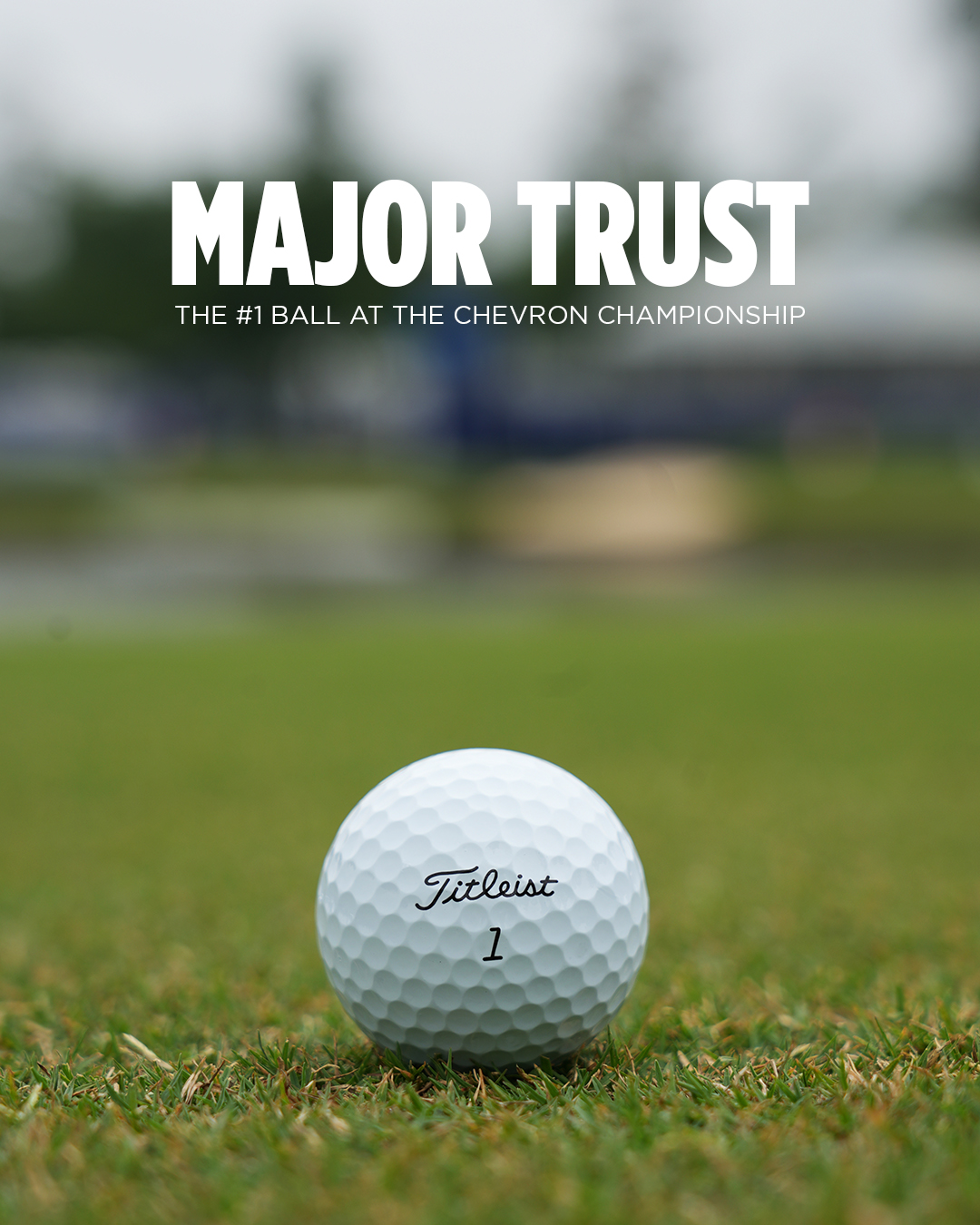 タイトリスト ゴルフボールマーカー Ball in Golf & PRO 泥臭い V1