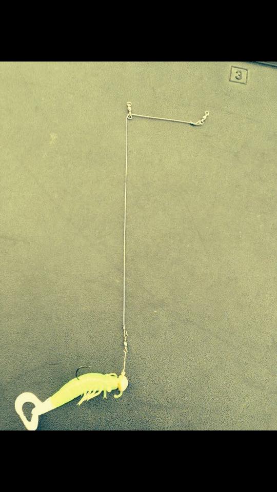 Arkansas Rig's & Jig's | Waveland MS