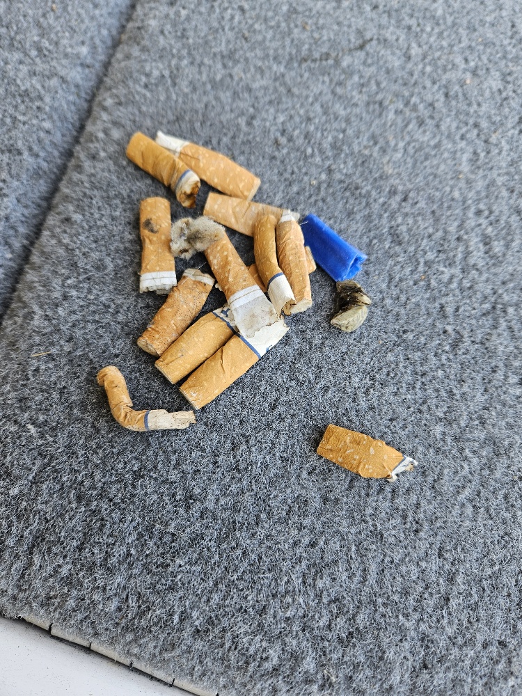 Fish Lectronics of Nisswa | Pequot Lakes MN