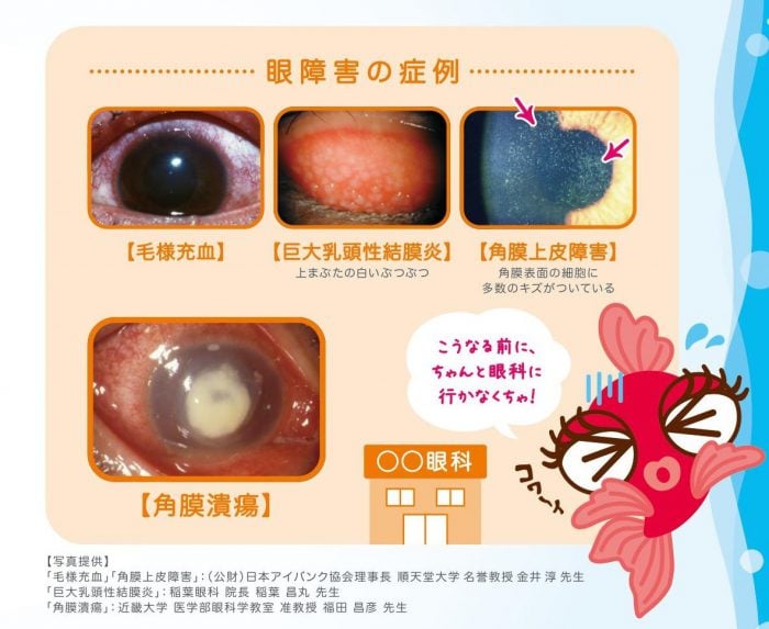 記事一覧 なにかいいもの くつしたと生活 楽天ブログ