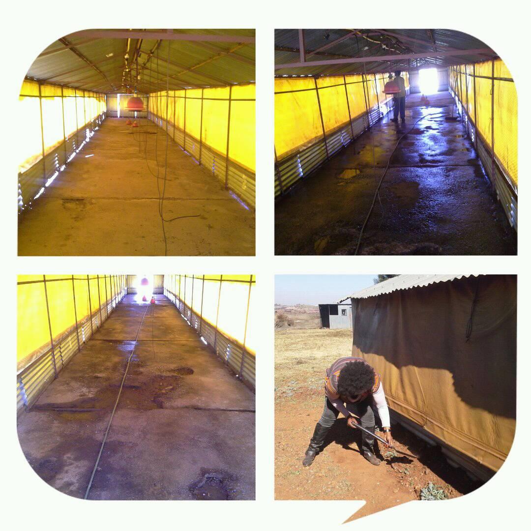 In the preparation... - Peezel Farms 
