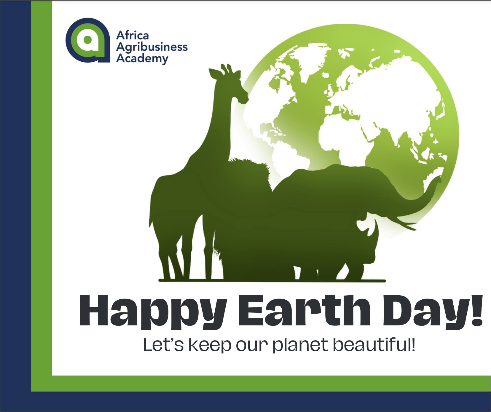 Africa Agribusiness Academy