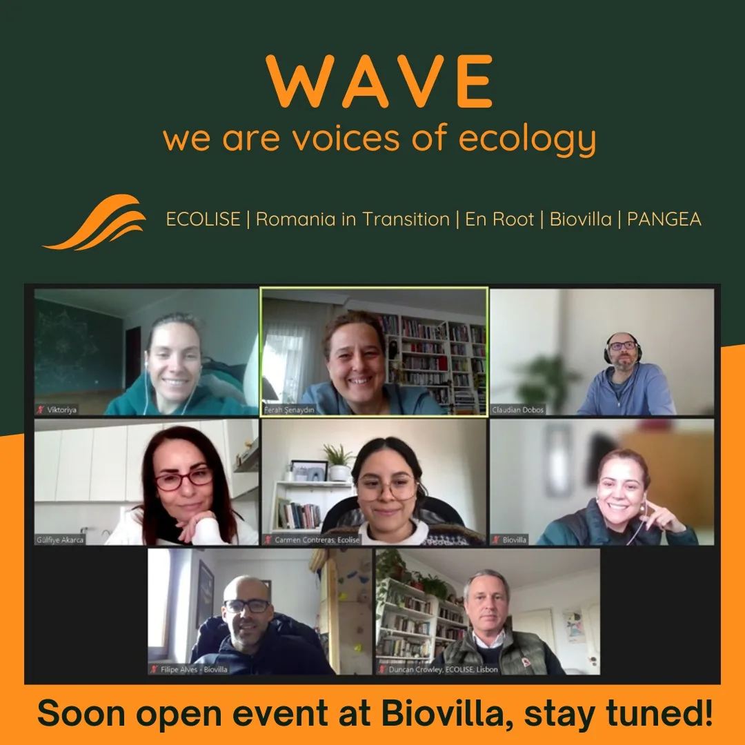 Wave Project