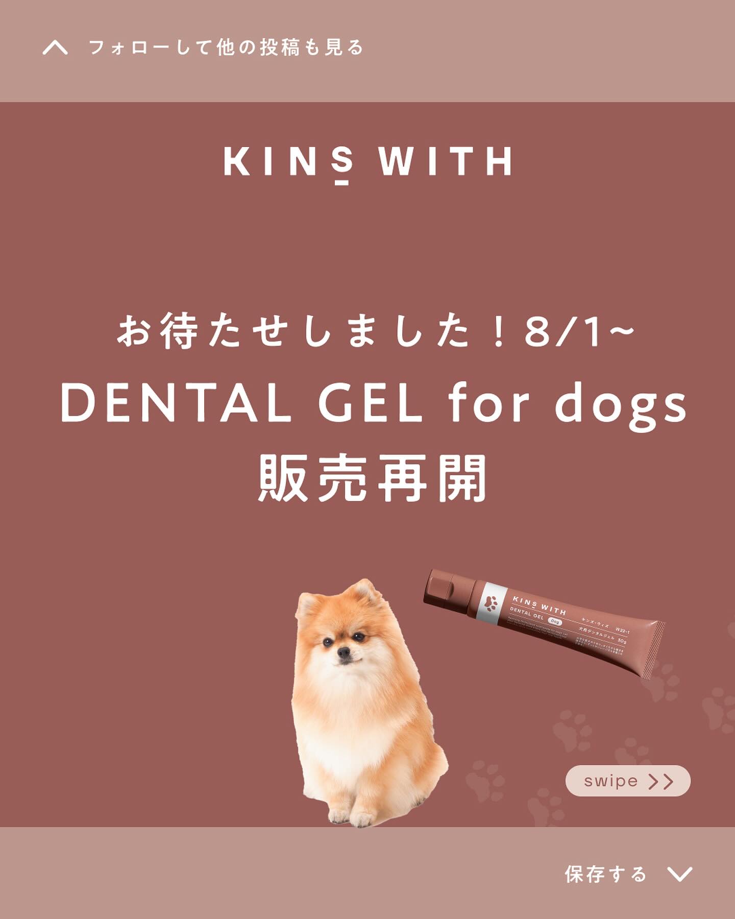 KINS WITH dogs (@kinswith.dogs) • Facebook