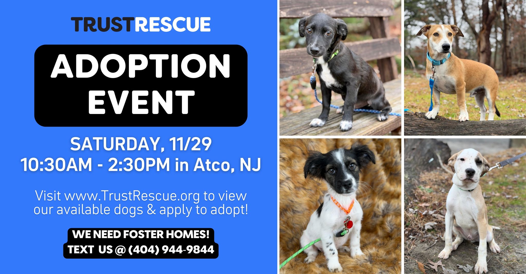 🐶 ADOPTION EVENT 🐾 by Trust Rescue