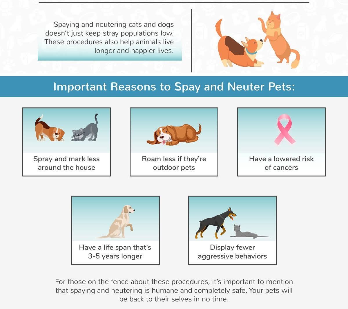 Curated visual reference: Gallery Detail: Guyana Society For The Prevention Of Cruelty To Animals Gspca