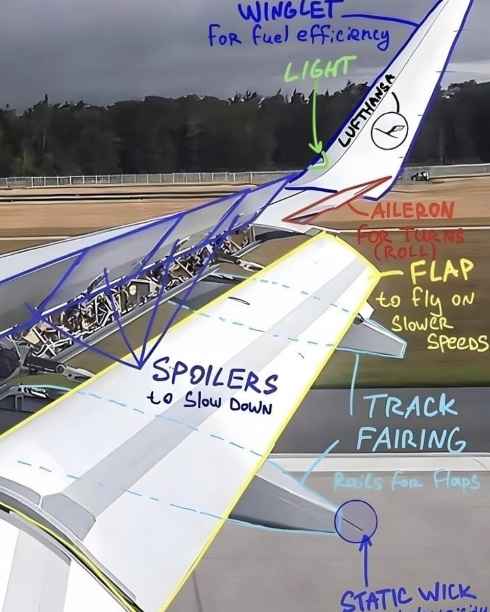 Aviation - Every part of an aircraft’s wing has a specific role in ...