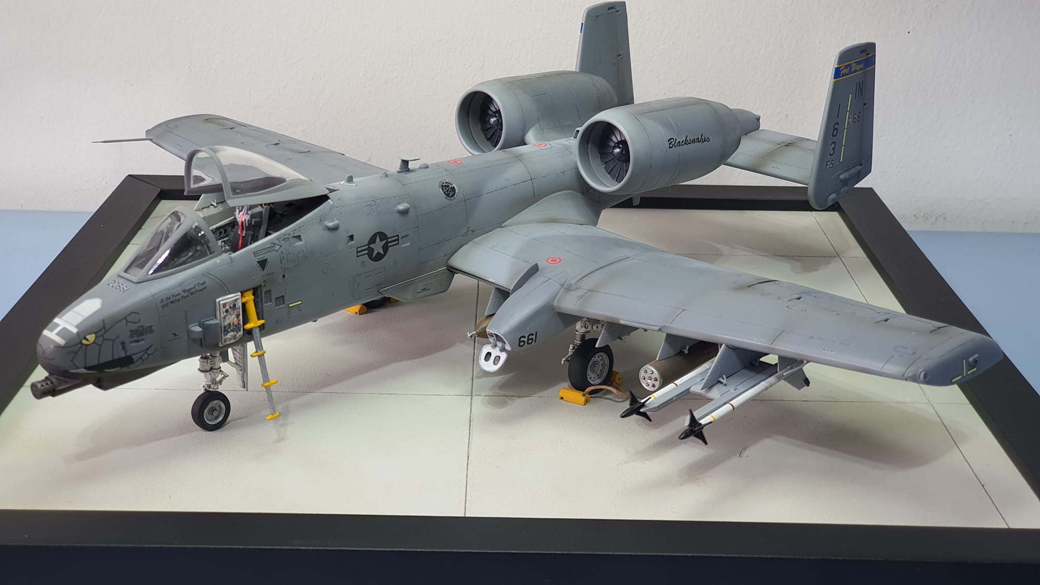 A-10c Blacksnakes 1/48 Italeri.