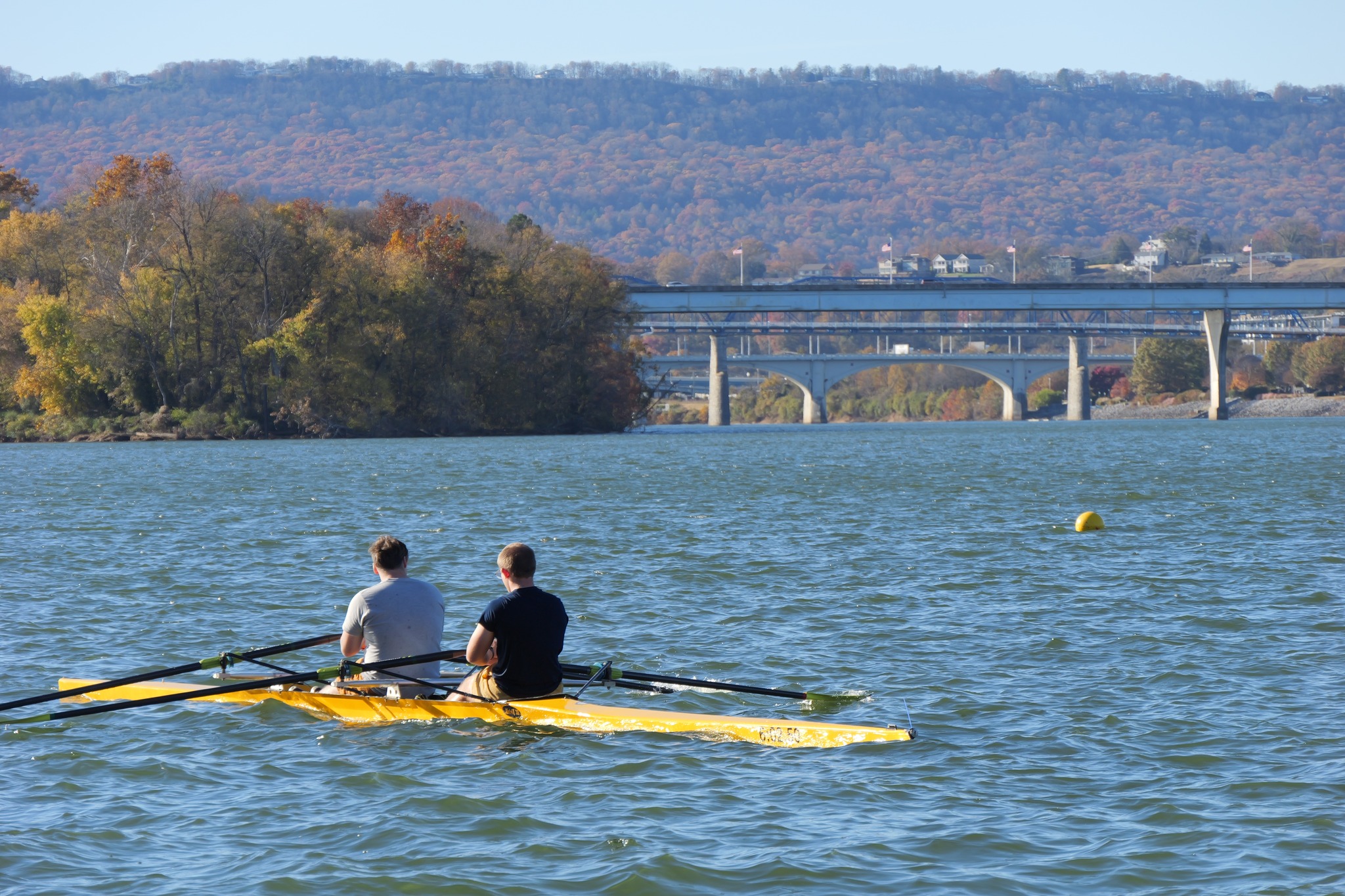 UTC Rowing