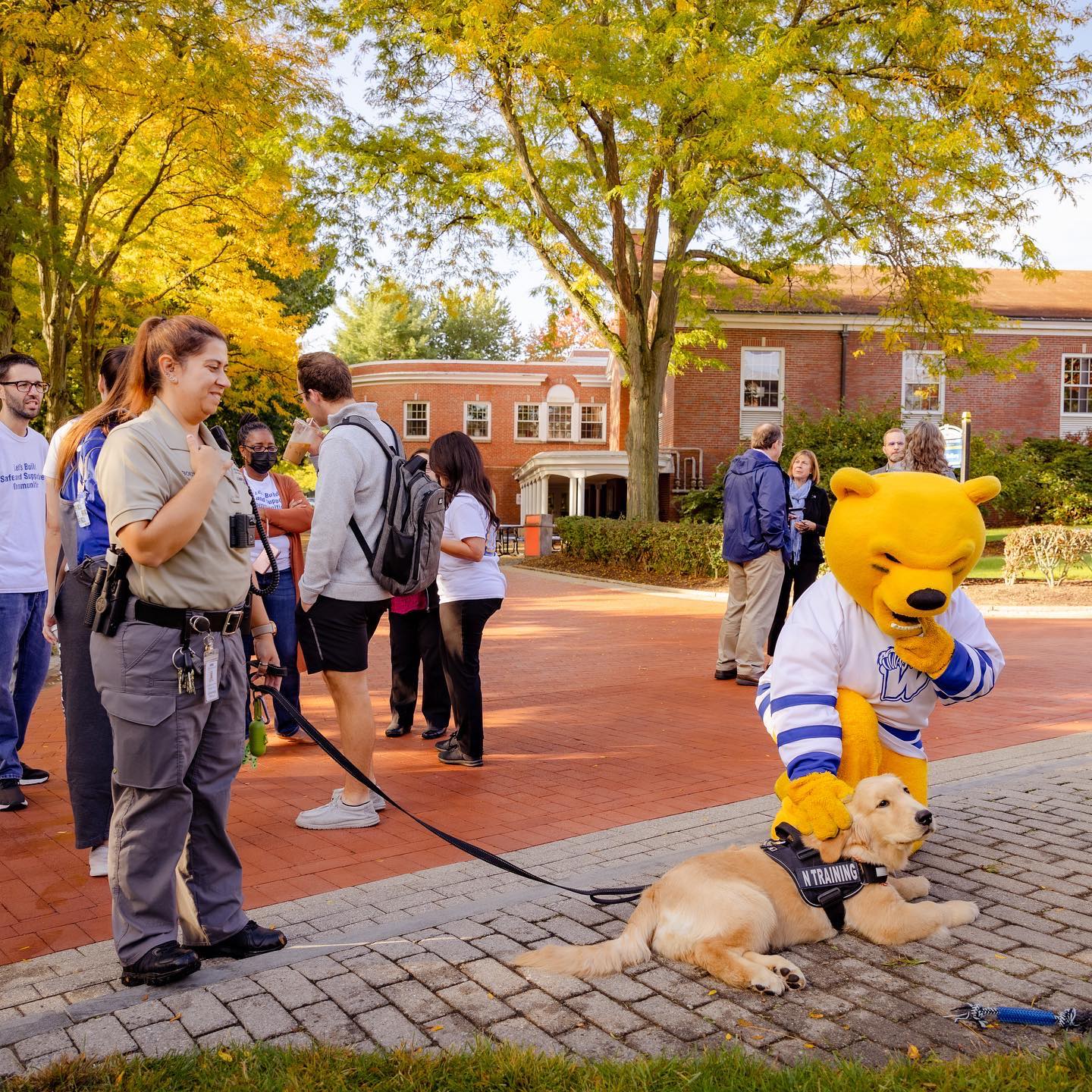 Yesterday, the campus... - Western New England University