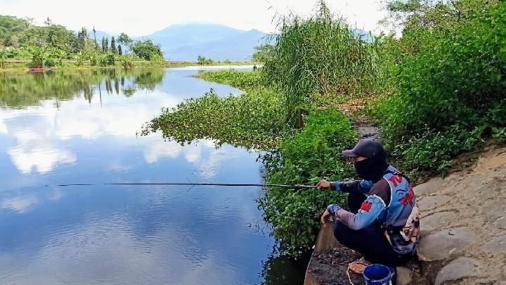 Jual beli alat pancing sengawi | Joran lele tokno | Facebook