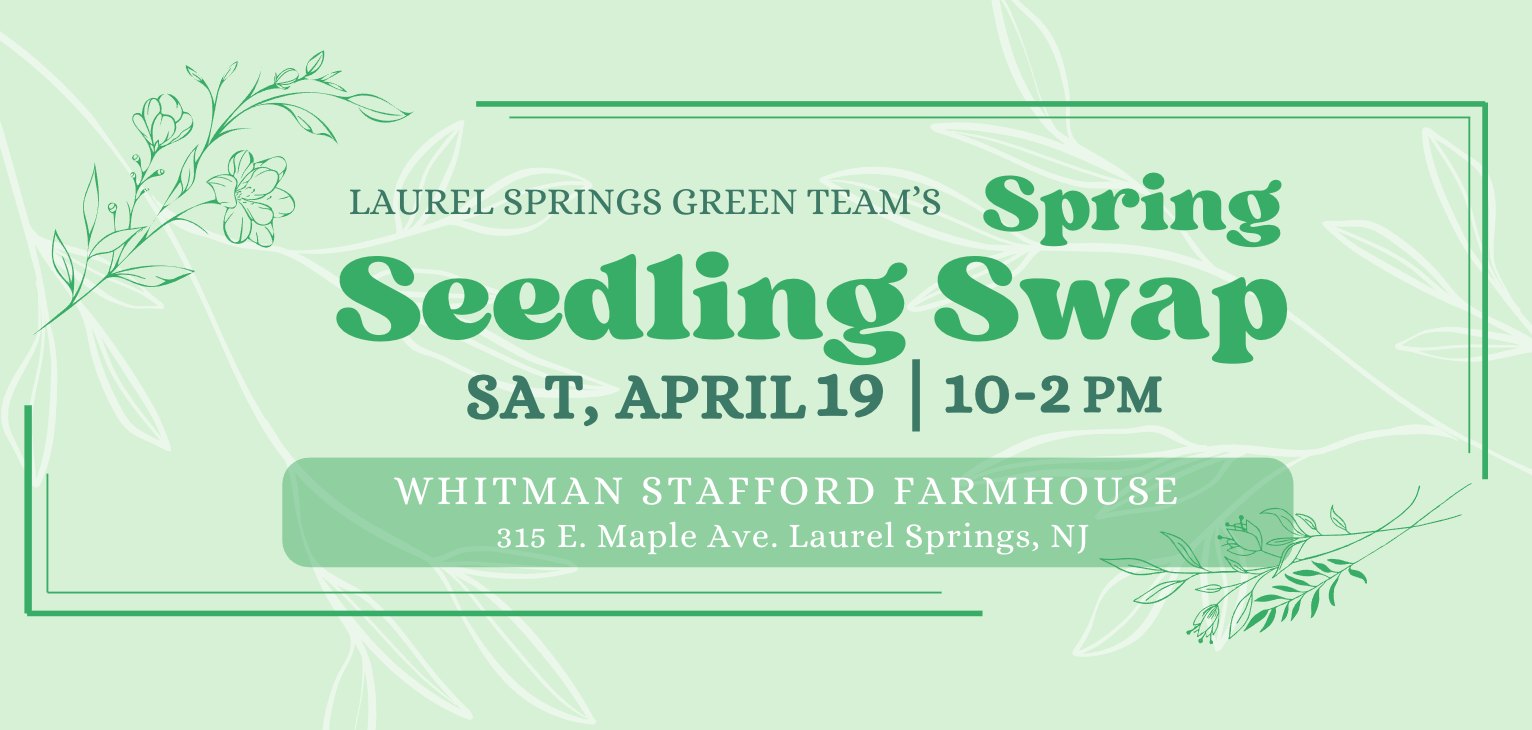 Spring Seedling Swap