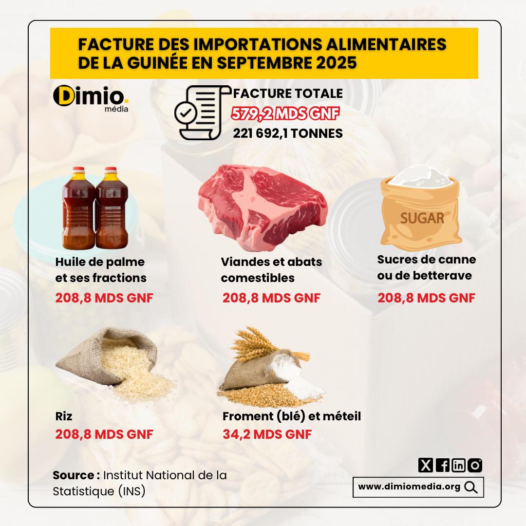 Dimio Média - 🇬🇳 La #Guinée a dépensé l’équivalent de près... | Facebook