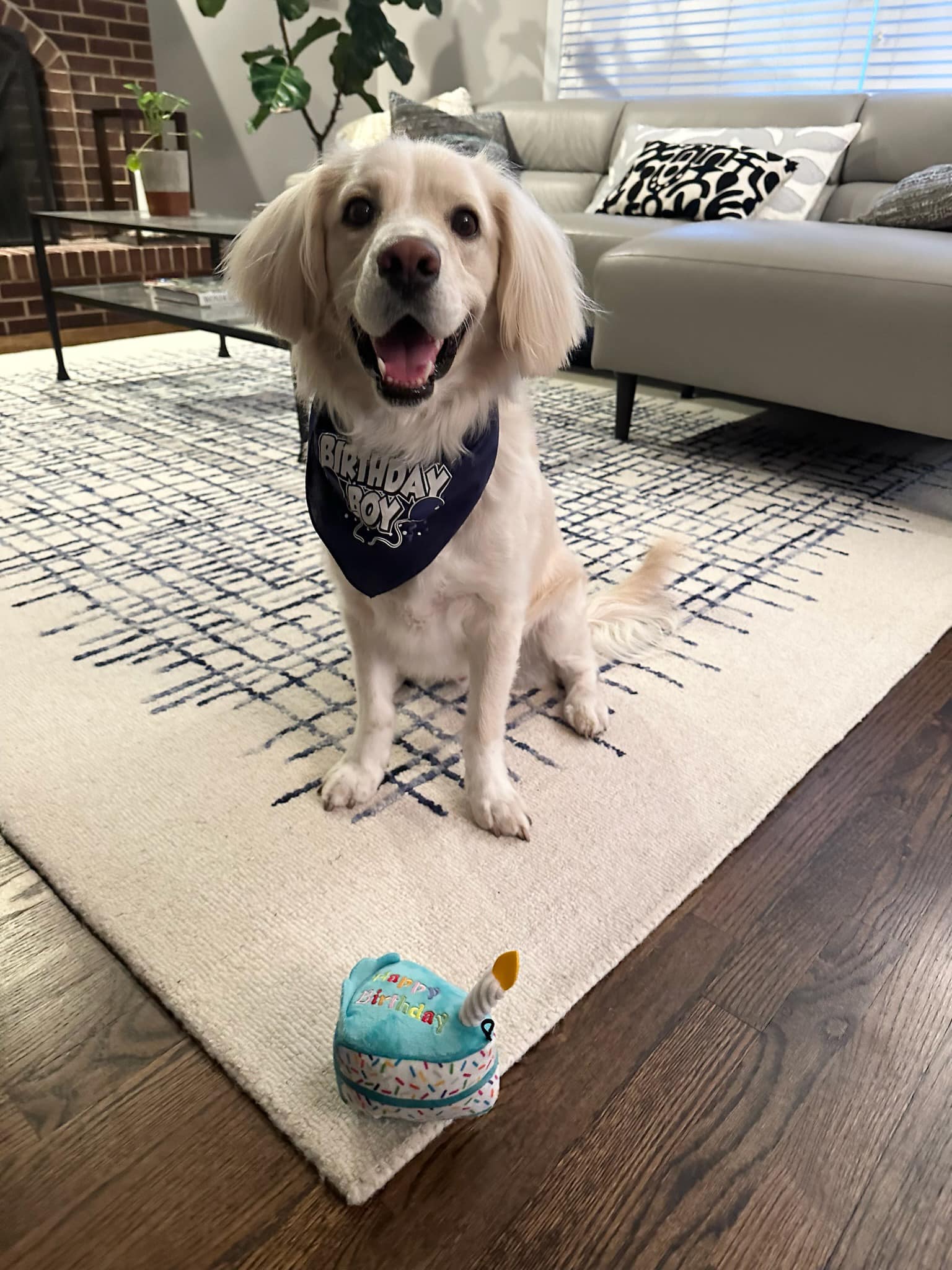 Renato Mariotti - Henry is awfully happy that it’s his...