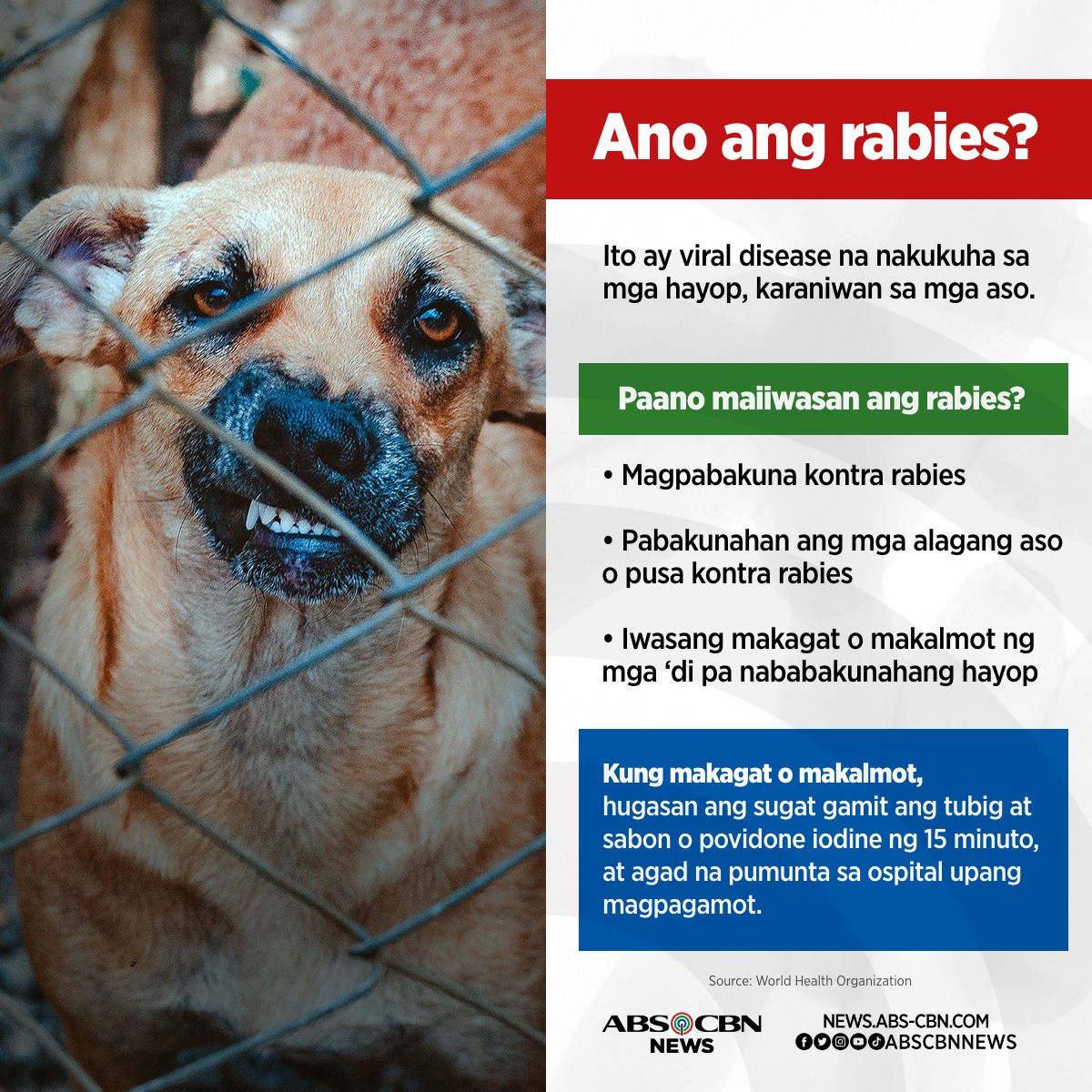 ABS-CBN News - Kapamilya, mag-ingat sa rabies at...