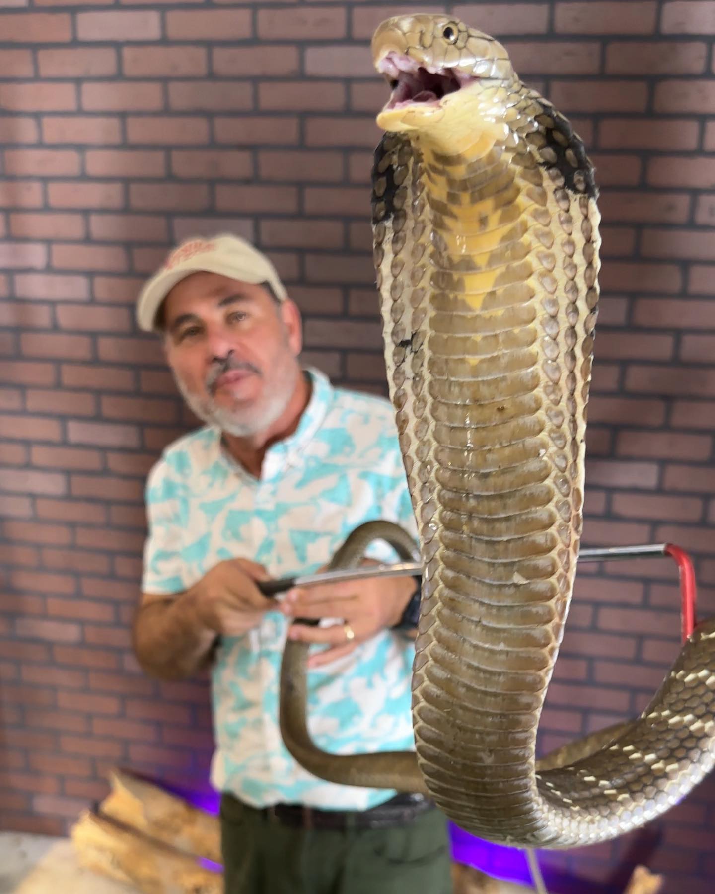 For the past 35+ years I’ve had the... - Jayprehistoricpets | Facebook