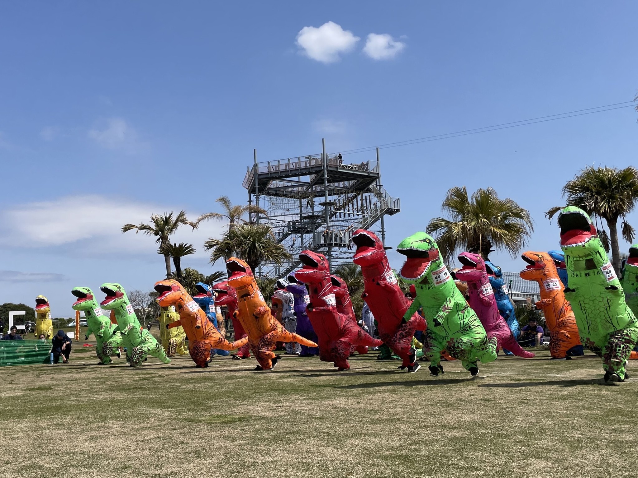 Hey - 🦖 The 3rd T-Rex Race is set for January 17! Officially certified ...