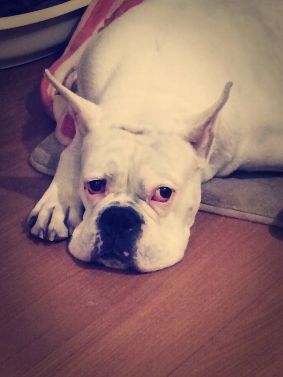 グスマン 具志犬 - グスマン 具志犬 updated their cover photo.