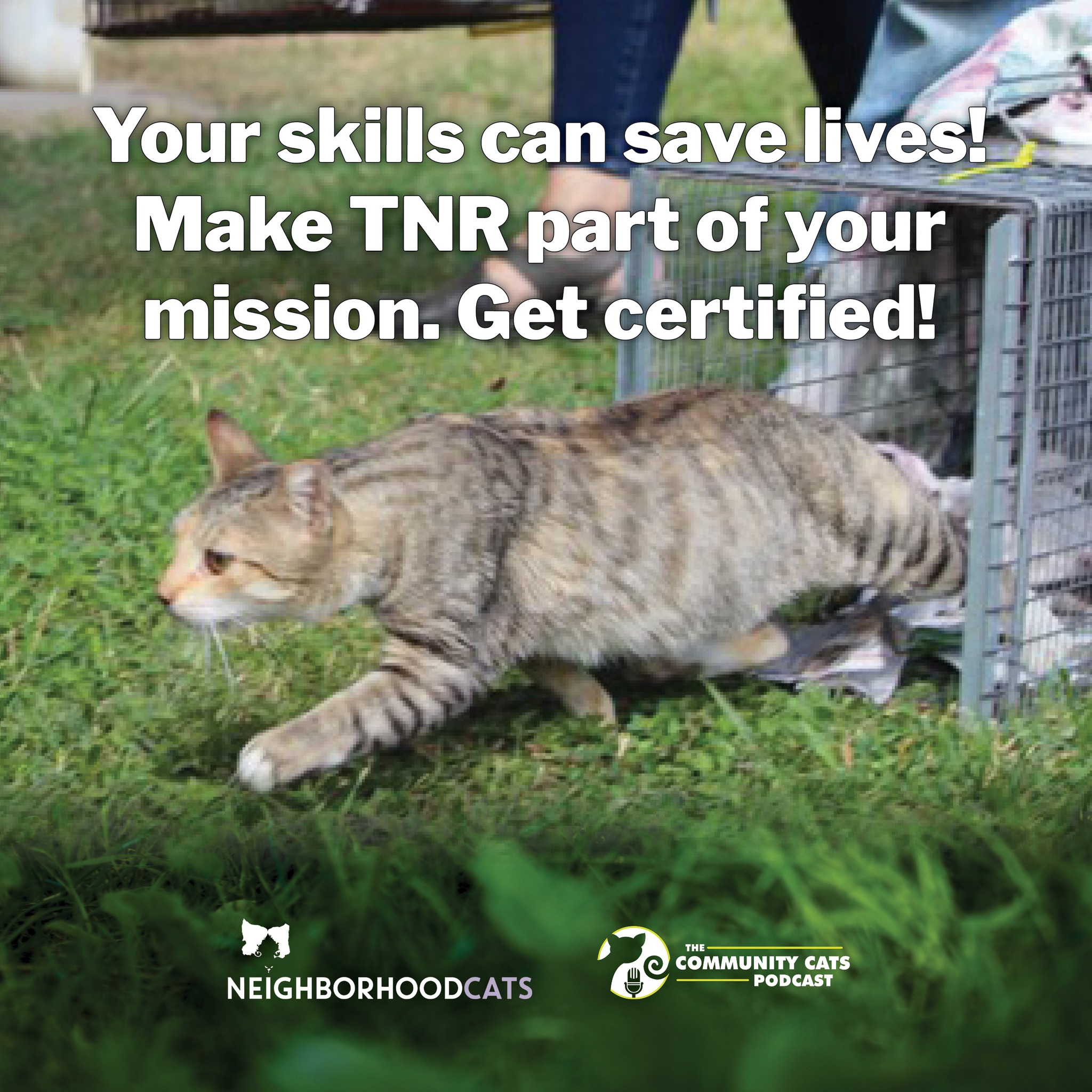 🐈‍⬛ Transform Your TNR Practice!... - Community Cats Podcast | Facebook