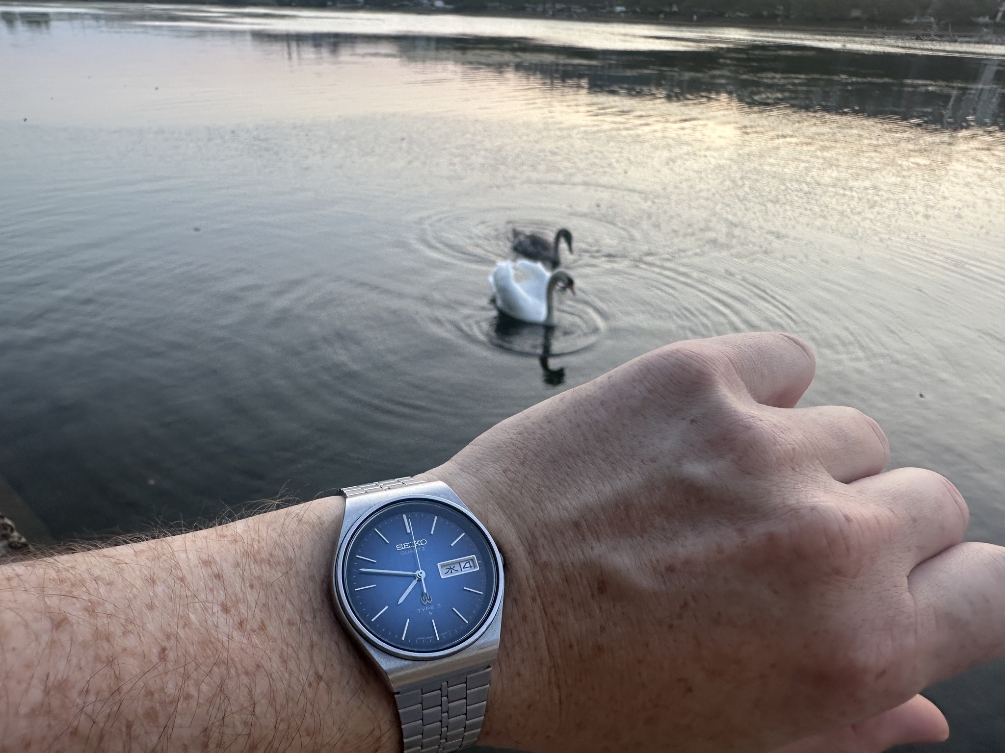 Seiko 8223 701d from 1980, by birth year (this variant looks like 