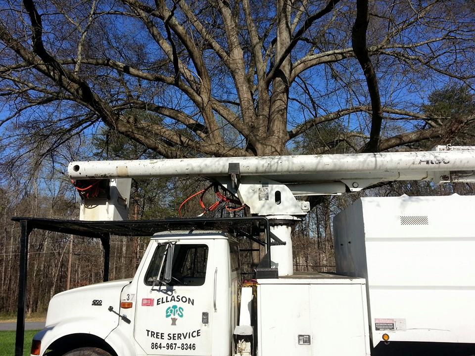 Ellason Tree Service | Simpsonville SC
