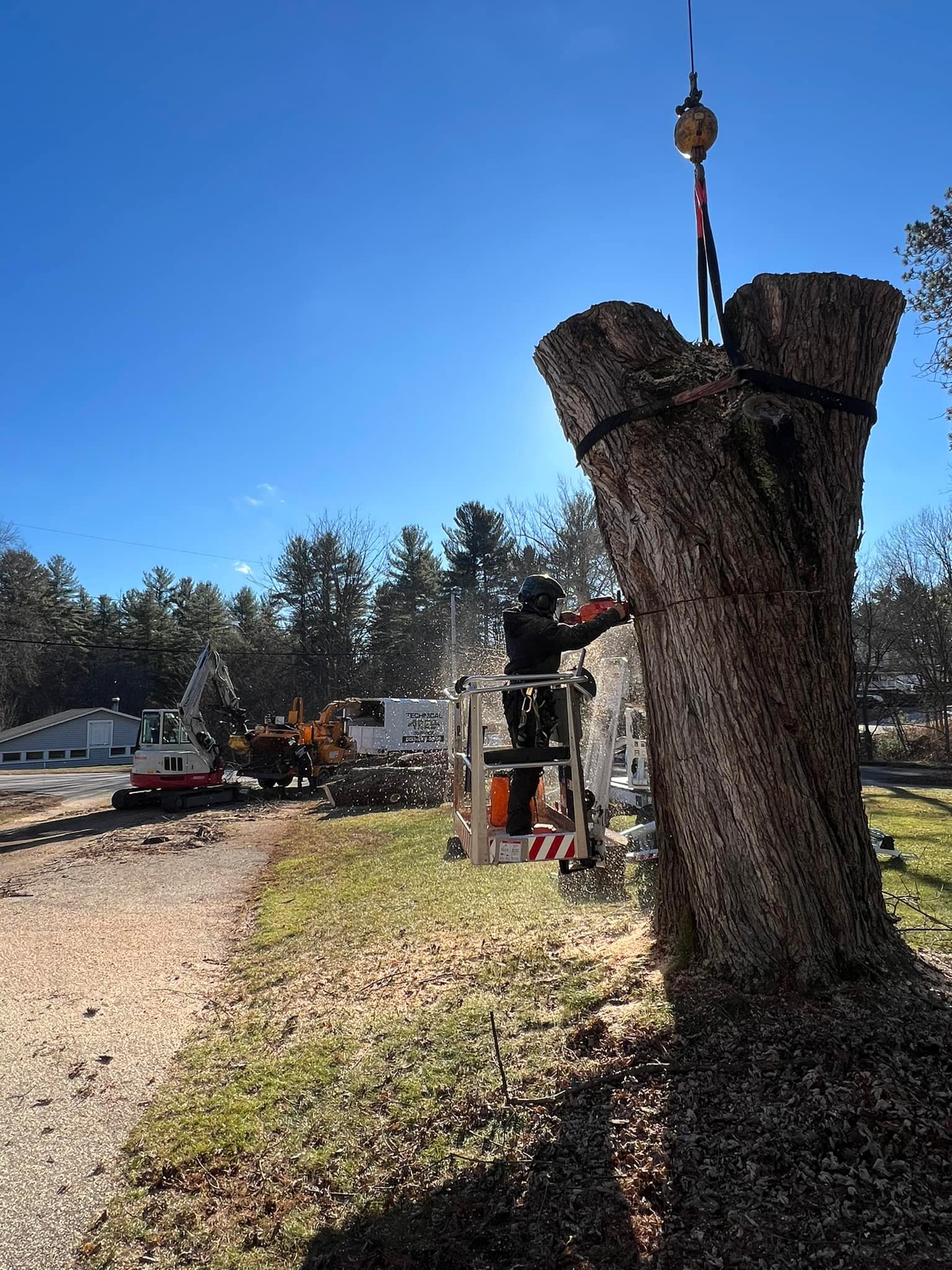 🌳Monsters DO exist🤟🏼 Technical... - Technical Tree Service | Facebook