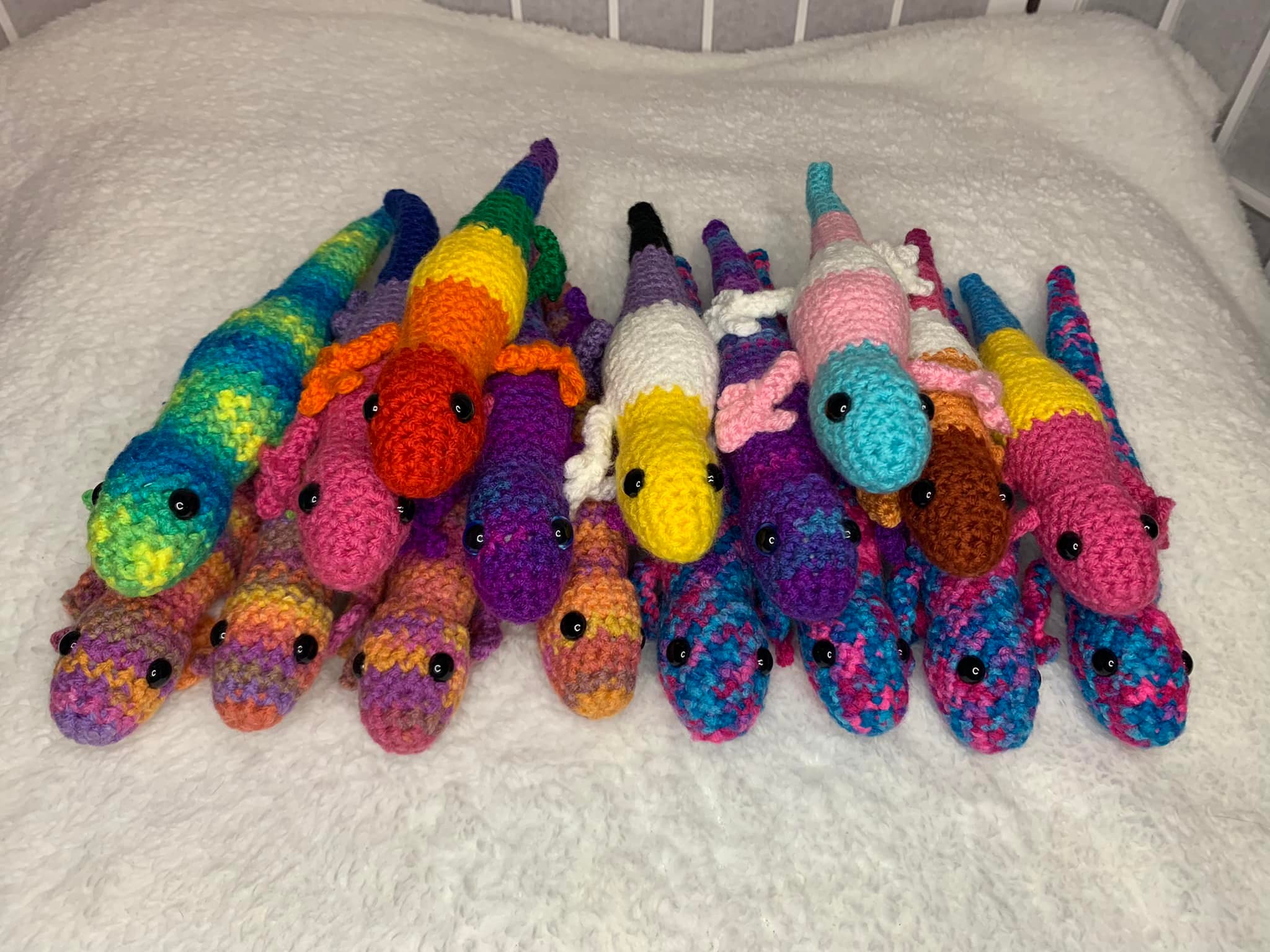 GeckoHQ - The new gay gecko (green/blue) is finally... | Facebook