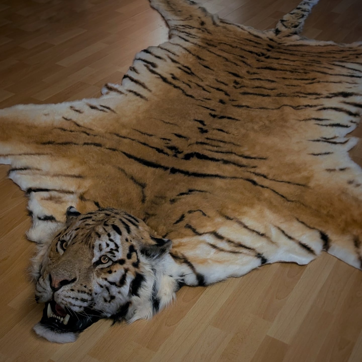 Animal - Animal Replicas is honored to unveil another creation: a ...
