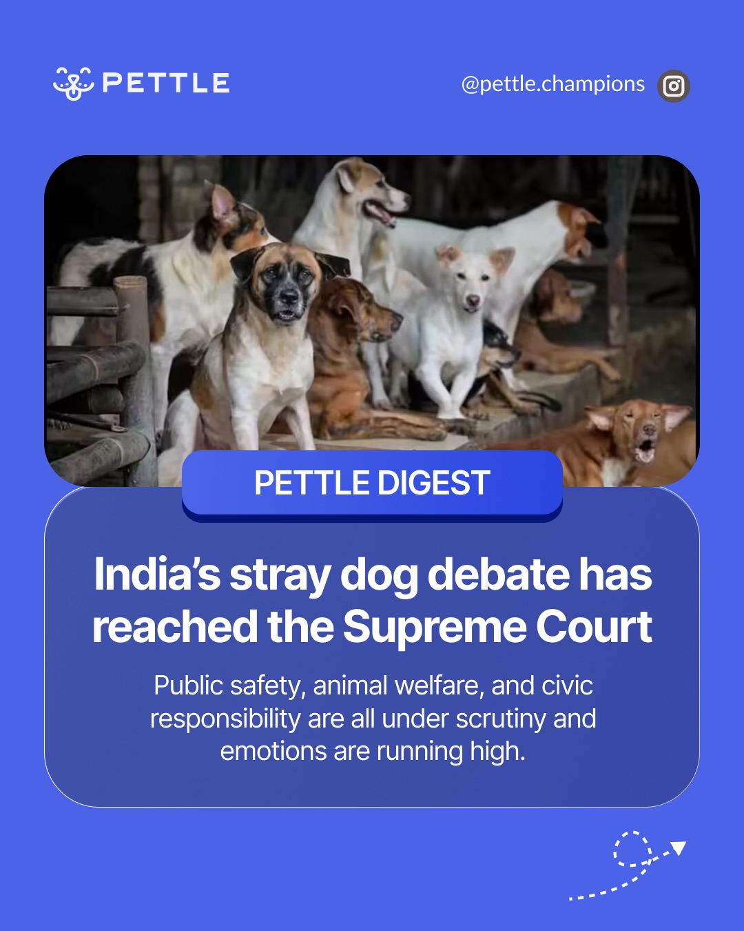 Pettle | Mumbai