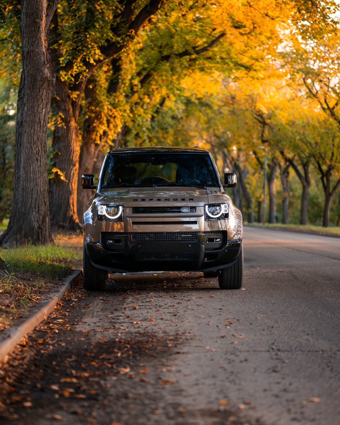 Fall colours are looking simply... - Land Rover Saskatoon