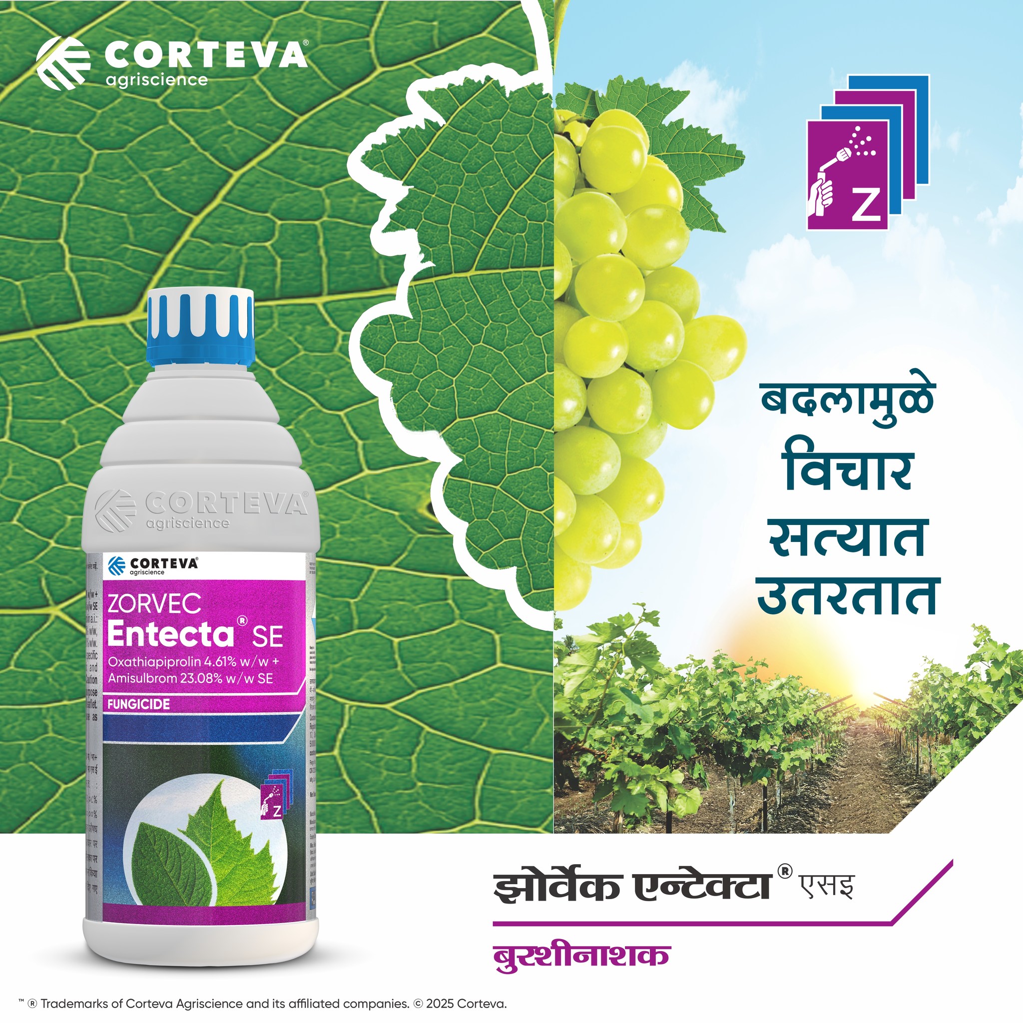 Corteva Farmer Connect | Hyderabad