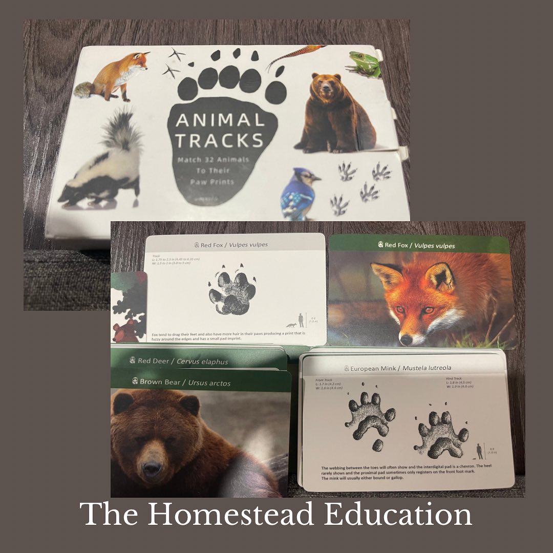 I get tired of so many games just... - Homestead Education | Facebook