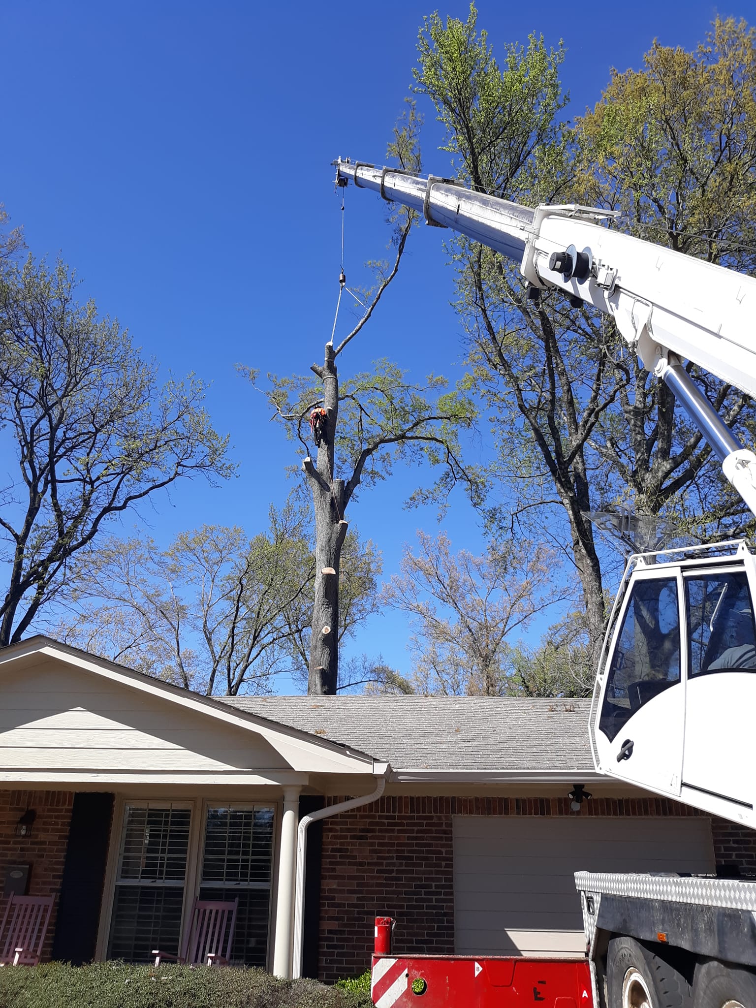 Five Points Tree Service | Huntsville AL