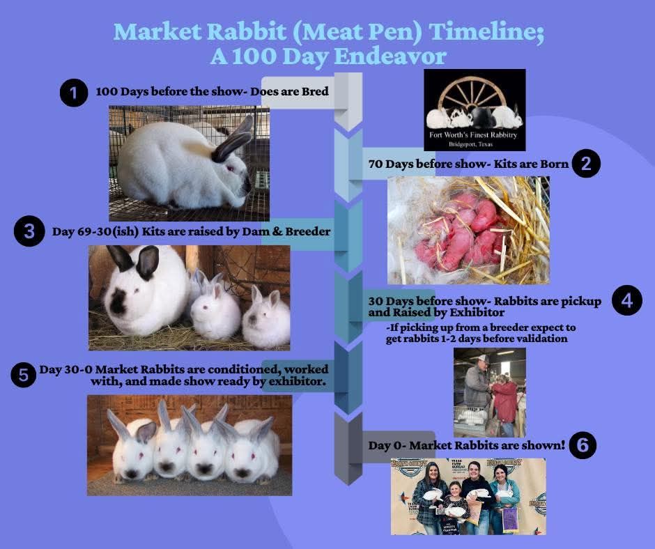 ARBA Rabbit Shows (Michigan, Illinois, Indiana & Ohio) | Facebook