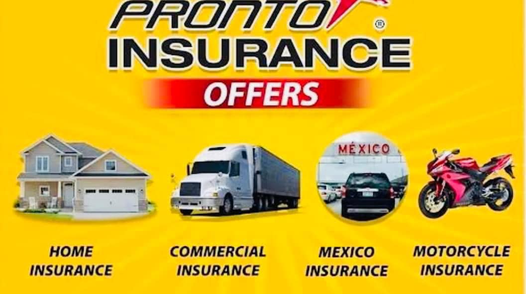 Pronto Insurance #05