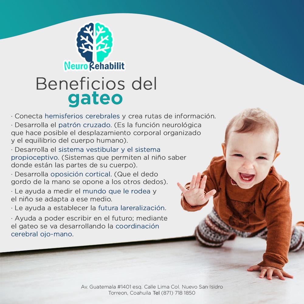 NeuroRehabilit - Dejemos que nuestros niños gateen... | Facebook