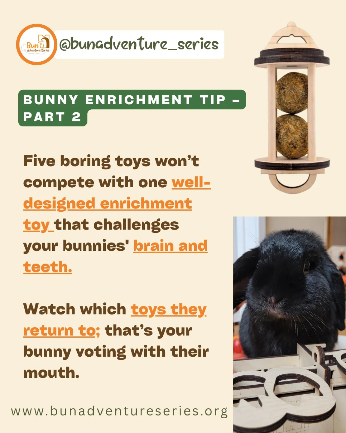 It all starts with the right... - Bunadventure Series | Facebook